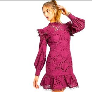 Asos Design High Neck Shell Eyelet Broderie Mini Dress in Oxblood